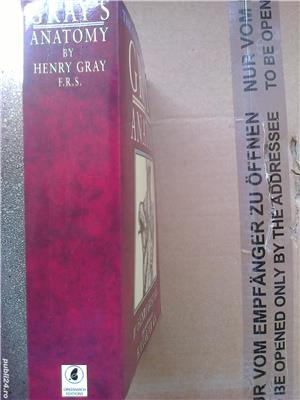 Anatomia de Gray, carte medicina engleza: Anatomie descriptiva si chirurgie, Londra - imagine 5
