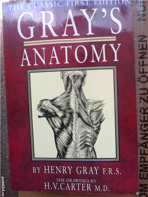 Anatomia de Gray, carte medicina engleza: Anatomie descriptiva si chirurgie, Londra - imagine 2