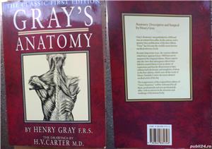 Anatomia de Gray, carte medicina engleza: Anatomie descriptiva si chirurgie, Londra
