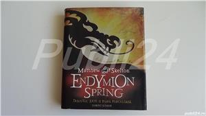 Endymion spring , matthew skelton 2007