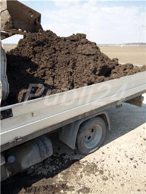 Transport agregate balastiera-pamant vegetal cu basculantă  - imagine 3