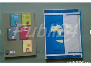 Manuale Capacitate , Bac , Ghid, Examene, Admitere , etc - imagine 4