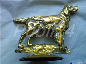 Caine setter / cerb vintage din alama, bronz Anglia, tematica: vanatoare