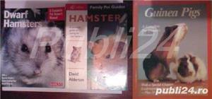 Manuale ingrijire hamsteri, porcusor de Guinea