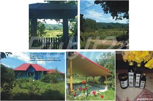 Produse din Aronia Bio: Tinctura, Otet, Dulceata, Sirop, Concentrat - Plantatie jud. Gorj - imagine 5