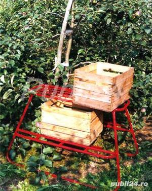 Scara tip sanie livada