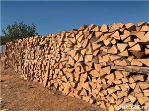 Lemn de foc fag - imagine 4