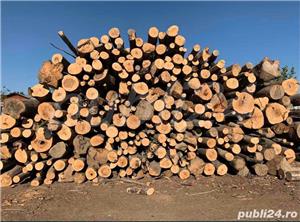 Lemn de foc fag - imagine 3