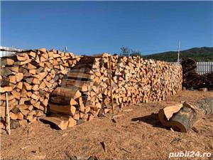 Lemn de foc fag - imagine 6