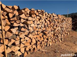 Lemn de foc fag - imagine 5