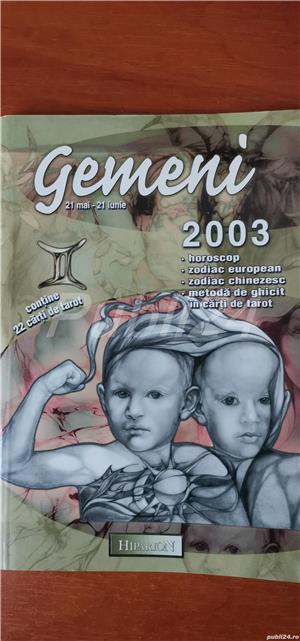 Gemeni 2003