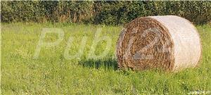 Seminte iarba coasa pentru zone secetoase 10 kg