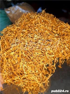 Vand t@bac la kg - imagine 2