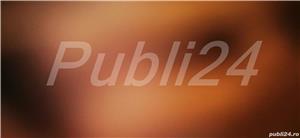 Minoritatea Germana din Romania   trecut si present in Europa unita   Ed Honterus - imagine 2