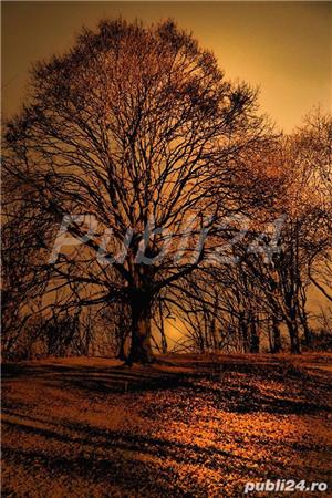 Editare video/ foto la preturi accesibile, servicii foto speciale