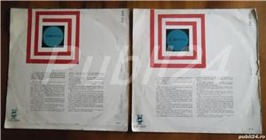 Pereche discuri vinil - pentru manualul de limba engleză cl a IX-a și a X-a - imagine 8