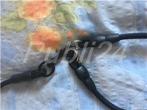 Lesa pt. 2 câini  - imagine 2