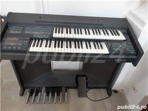 instrumente muzicale 