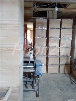 Stupi pentru albine pe 12 rame - imagine 8