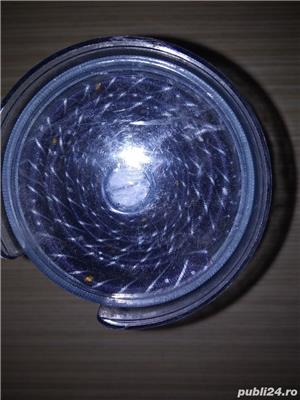 CRAVATĂ model deosebit. NOUĂ, neutilizată - imagine 3