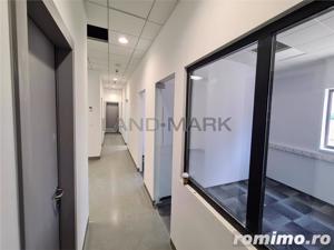Hala industrialaTimisoara , 2500 mp, Calea Lugojului - imagine 7