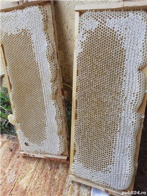 vand miere salcam,mana ,poliflora,rapita - imagine 4