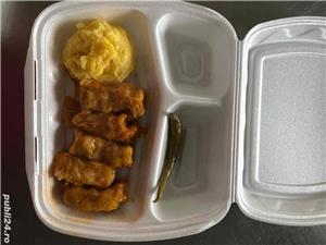 Catering pomeni 50lei Rm Sarat  Pensiunea Rustic