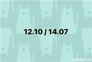 Meditații limba spaniola / franceza