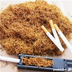 T@bac de cea mai buna CALITATE 3 KG + 1 GRATIS