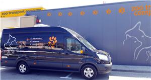 Transport caini,pisici Anglia Franta Germania  - imagine 8