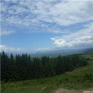 Plimbare cu căruta lângă Băile Tusnad, aproape de lacul Sfânta Ana din Lăzăresti, jud. Harghita - imagine 4