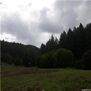 Plimbare cu căruta lângă Băile Tusnad, aproape de lacul Sfânta Ana din Lăzăresti, jud. Harghita - imagine 3