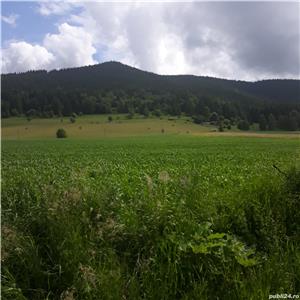 Plimbare cu căruta lângă Băile Tusnad, aproape de lacul Sfânta Ana din Lăzăresti, jud. Harghita - imagine 2