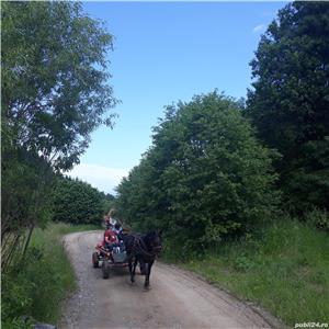 Plimbare cu căruta lângă Băile Tusnad, aproape de lacul Sfânta Ana din Lăzăresti, jud. Harghita - imagine 10