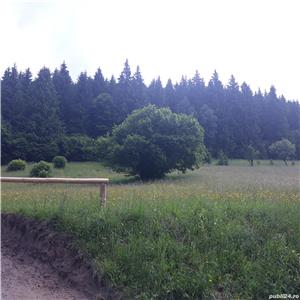 Plimbare cu căruta lângă Băile Tusnad, aproape de lacul Sfânta Ana din Lăzăresti, jud. Harghita - imagine 8