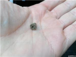 Becuri T3 12-14V cu LED sau filament Neo Wedge T3 iluminare buton bord Bec auxiliar Honda etc., - imagine 8