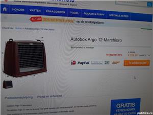 Cusca transport auto, caini talie medie-mare: MARCHIORO-ARGO12 - imagine 4