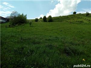 Teren in Bucovina, zona linistita si frumoasa - imagine 3