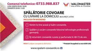 Spalatorie de covoare cu preluare de la domiciliu - Waldmaster 
