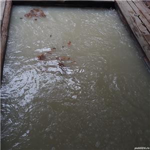 Petrecere cu prietenii, zi de nastere, discoteca, party, club de noapte in Baile Tusnad - imagine 9