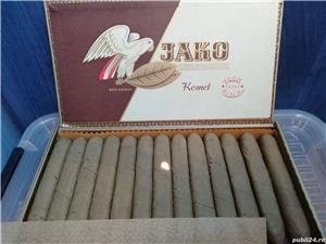 F. O. I  /CUBA-colectie - imagine 4