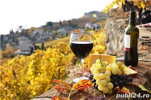 Vin de Dragasani - Merlot