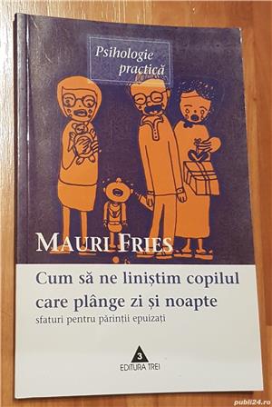 Cum sa ne linistim copilul care plange zi si noapte de Mauri Fries