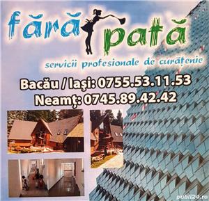 Curatam și dezinfectam pardoseli , mochete  - imagine 4