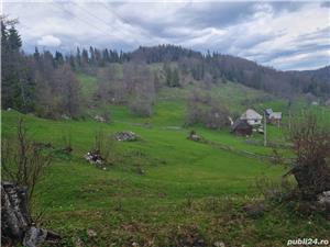 Teren de vanzare - imagine 7