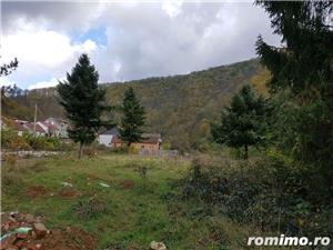 Teren intravilan ideal investitie in localitatea Resita, 5755 mp, intre case, zona LEND - imagine 8