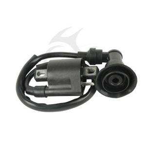 Bobina inductie moto atv 1 papuc + fisa + pipa