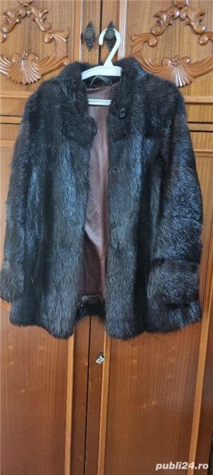 haina de vulpe si haina de nutrie impecabile - imagine 5