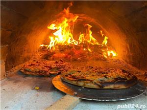 Cuptor mobil traditional cu vatra pe lemne pentru pizza, paine - imagine 9