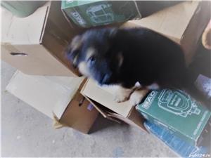 Motor electropompa dab 150/340.65T 